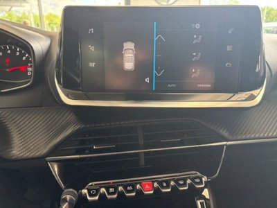 Peugeot 2008 BlueHDi 100 S&S Allure (15)