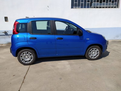 Fiat Panda Cross Cross 1.0 FireFly S&S Hybrid nuova