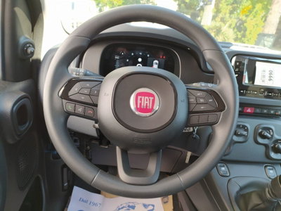 Fiat Panda Cross Cross 1.0 FireFly S&S Hybrid (16)