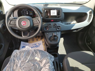 Fiat Panda Cross Cross 1.0 FireFly S&S Hybrid (4)