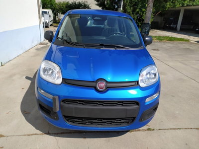Fiat Panda Cross Cross 1.0 FireFly S&S Hybrid (5)