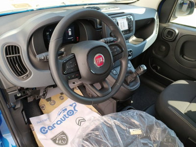 Fiat Panda Cross Cross 1.0 FireFly S&S Hybrid (6)
