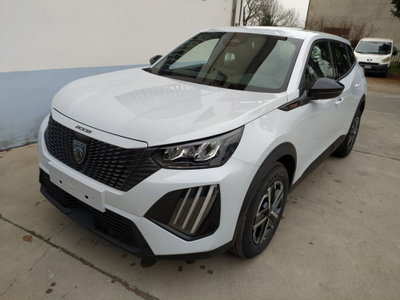 Peugeot 2008 1.2 puretech Style s&s 100cv (7)