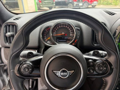 MINI Mini Countryman 2.0 Cooper S Business Countryman Automatica (11)