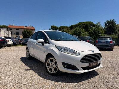 Ford Fiesta 1.5 TDCi 95CV 5 porte Titanium (2)