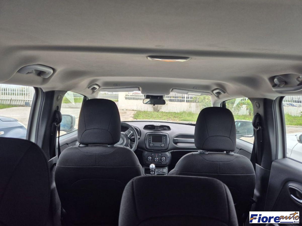 Jeep Renegade 1.6 Mjt 120 CV Longitude (14)
