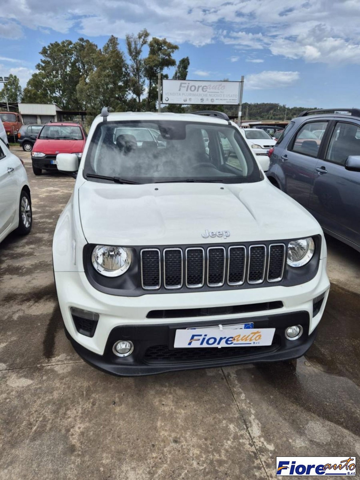 Jeep Renegade 1.6 Mjt 120 CV Longitude (2)