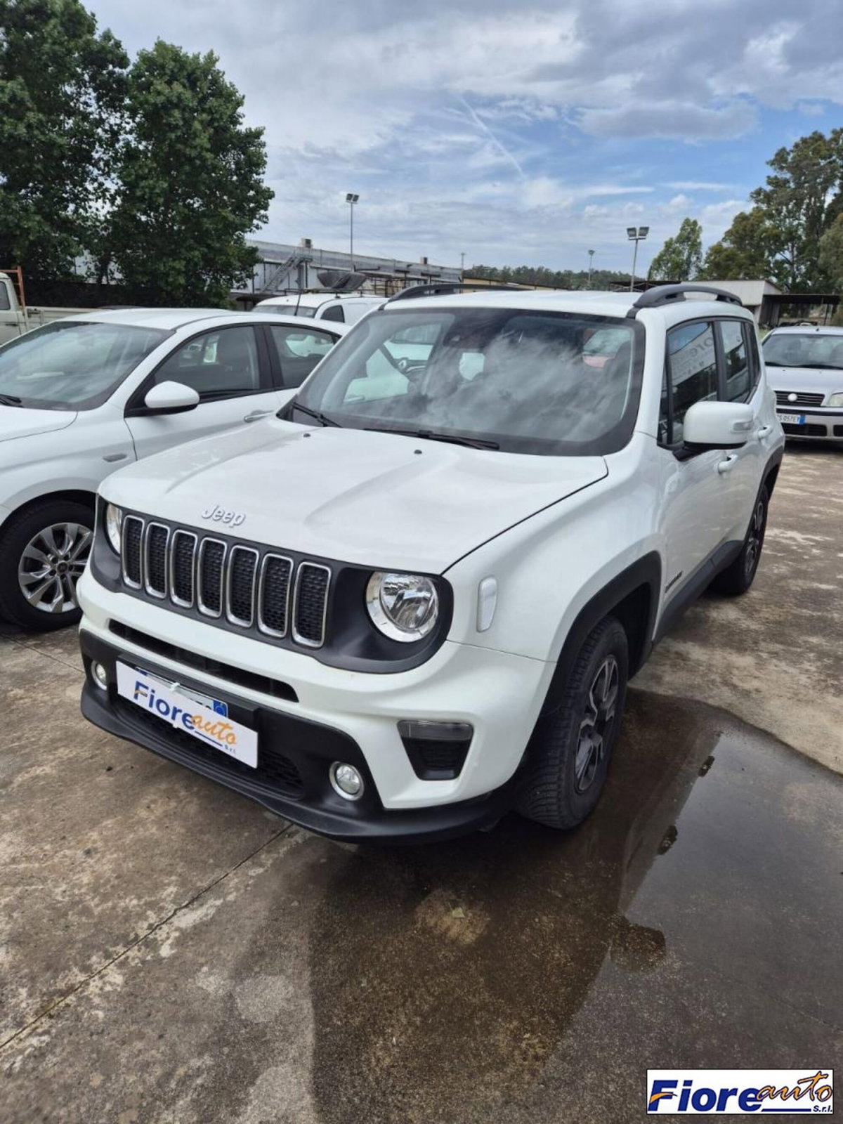 Jeep Renegade 1.6 Mjt 120 CV Longitude (3)