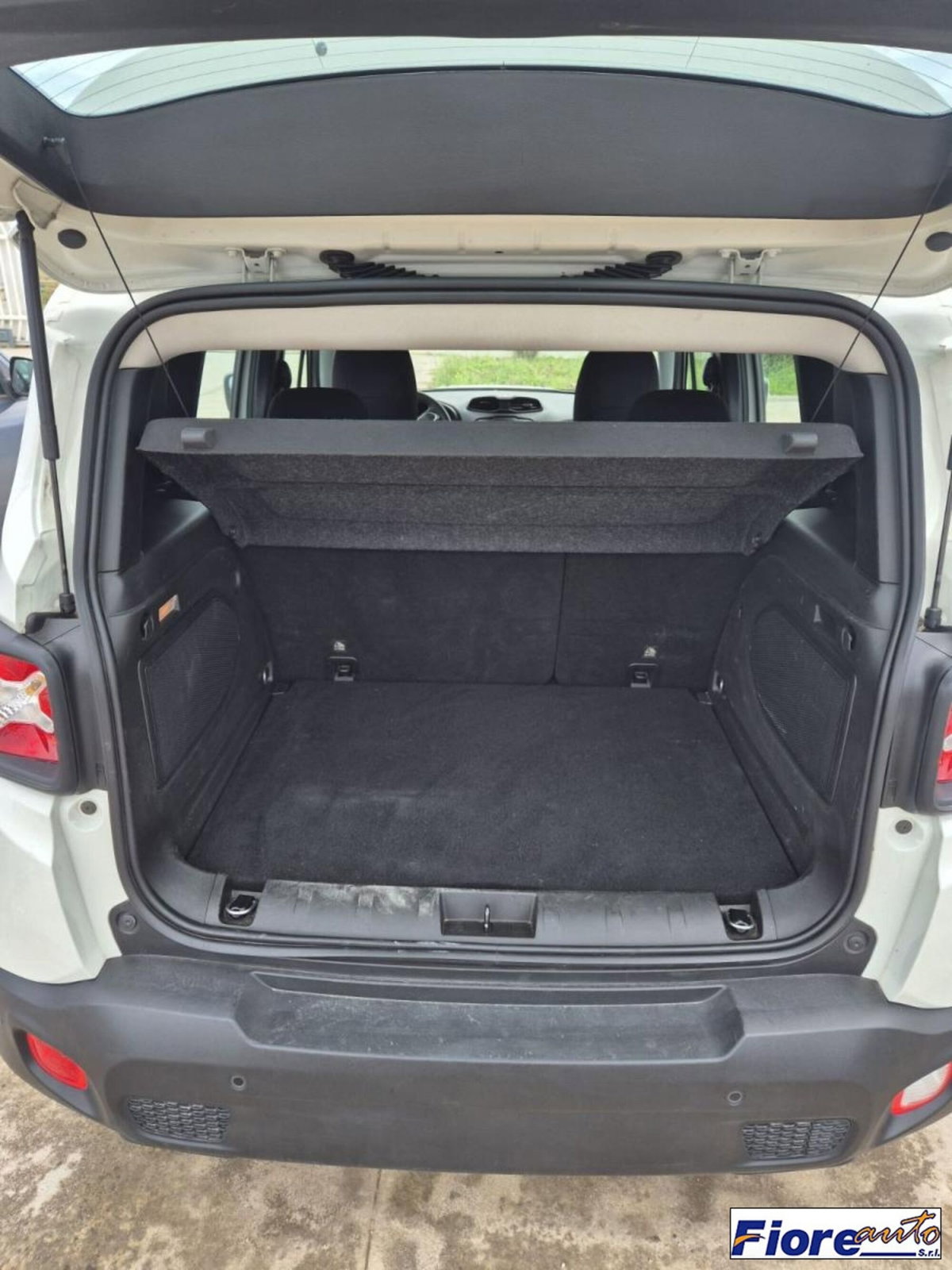 Jeep Renegade 1.6 Mjt 120 CV Longitude (5)