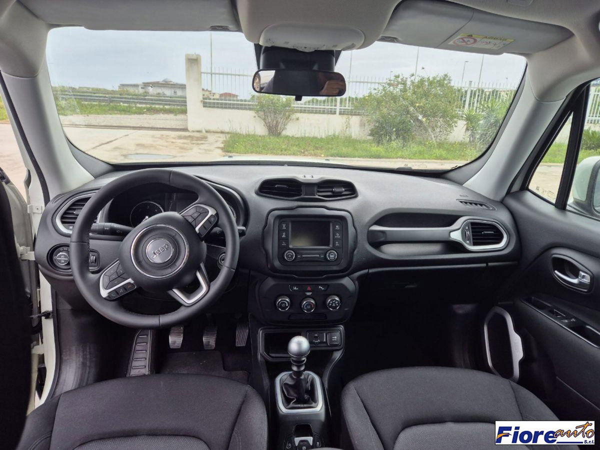 Jeep Renegade 1.6 Mjt 120 CV Longitude (7)