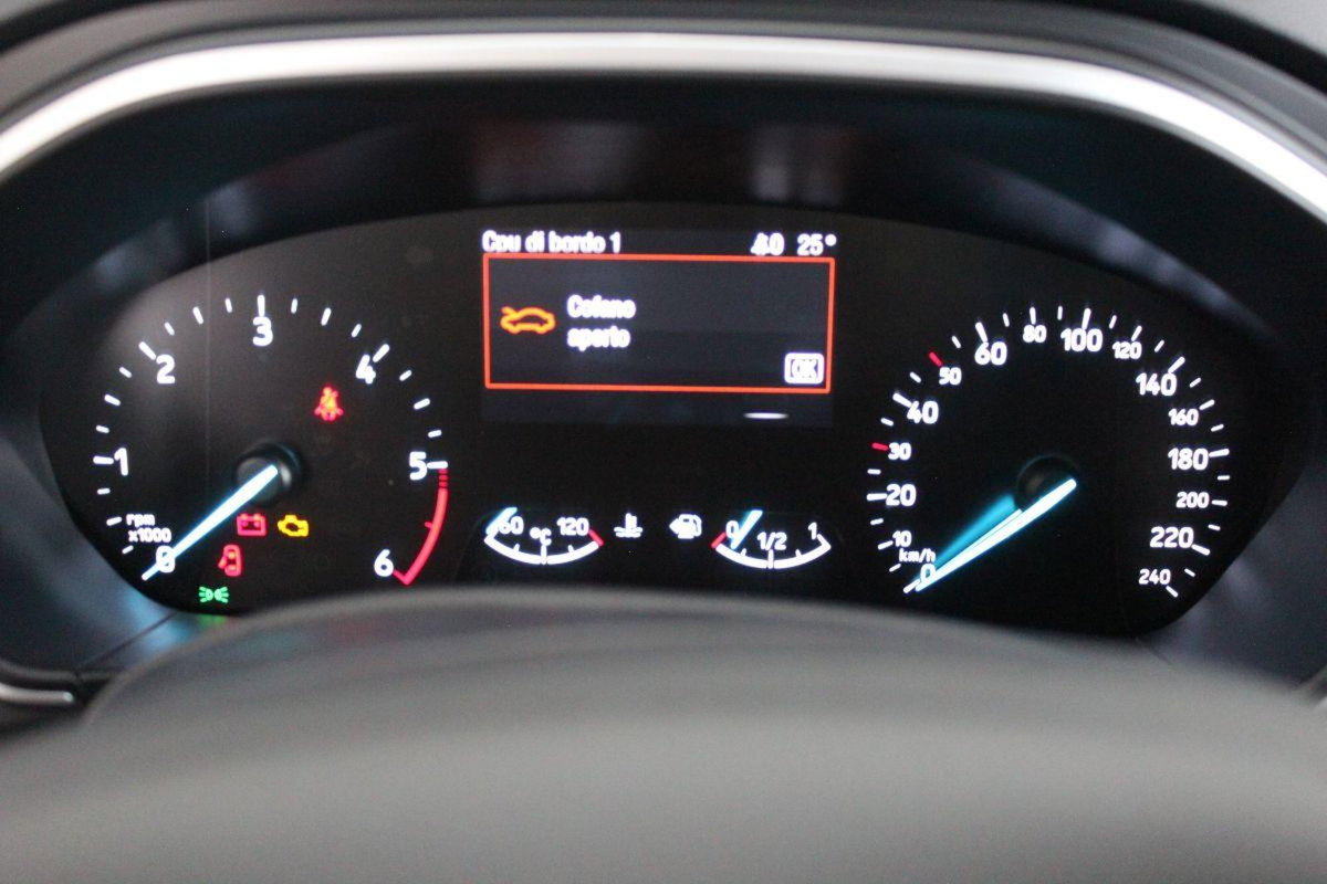 Ford Focus Station Wagon 1.5 EcoBlue 120 CV automatico SW Business (10)