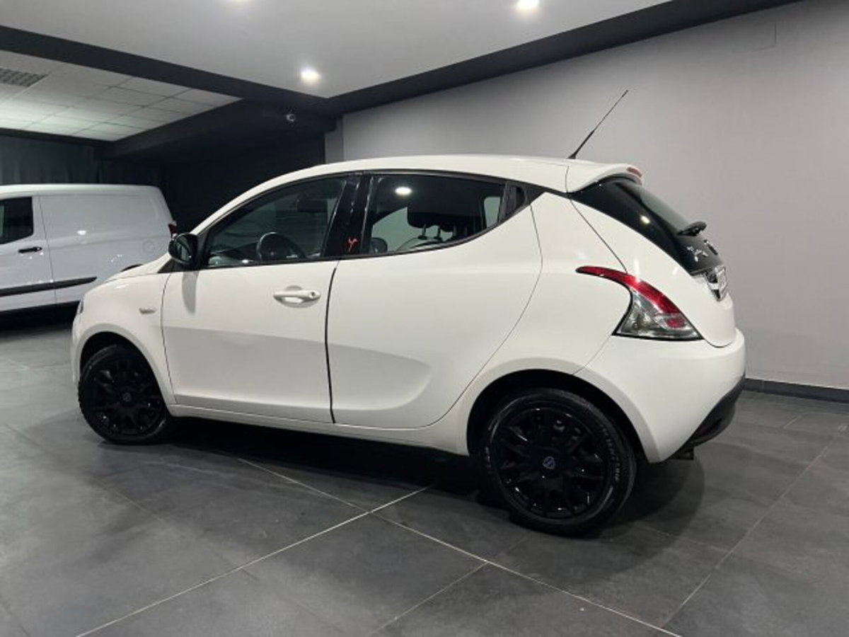 Lancia Ypsilon 1.3 MJT 16V 95 CV 5 porte S&S Elefantino (6)