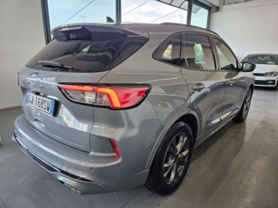 Ford Kuga 2.0 EcoBlue 190 CV aut. AWD ST-Line X (6)