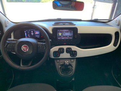 Fiat Panda Cross 1.0 firefly hybrid Cross s&s 70cv 5p.ti (16)