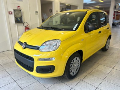 Fiat Panda 1.0 firefly hybrid Icon s&s 70cv nuova
