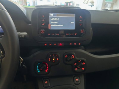 Fiat Panda 1.0 firefly hybrid Icon s&s 70cv (11)