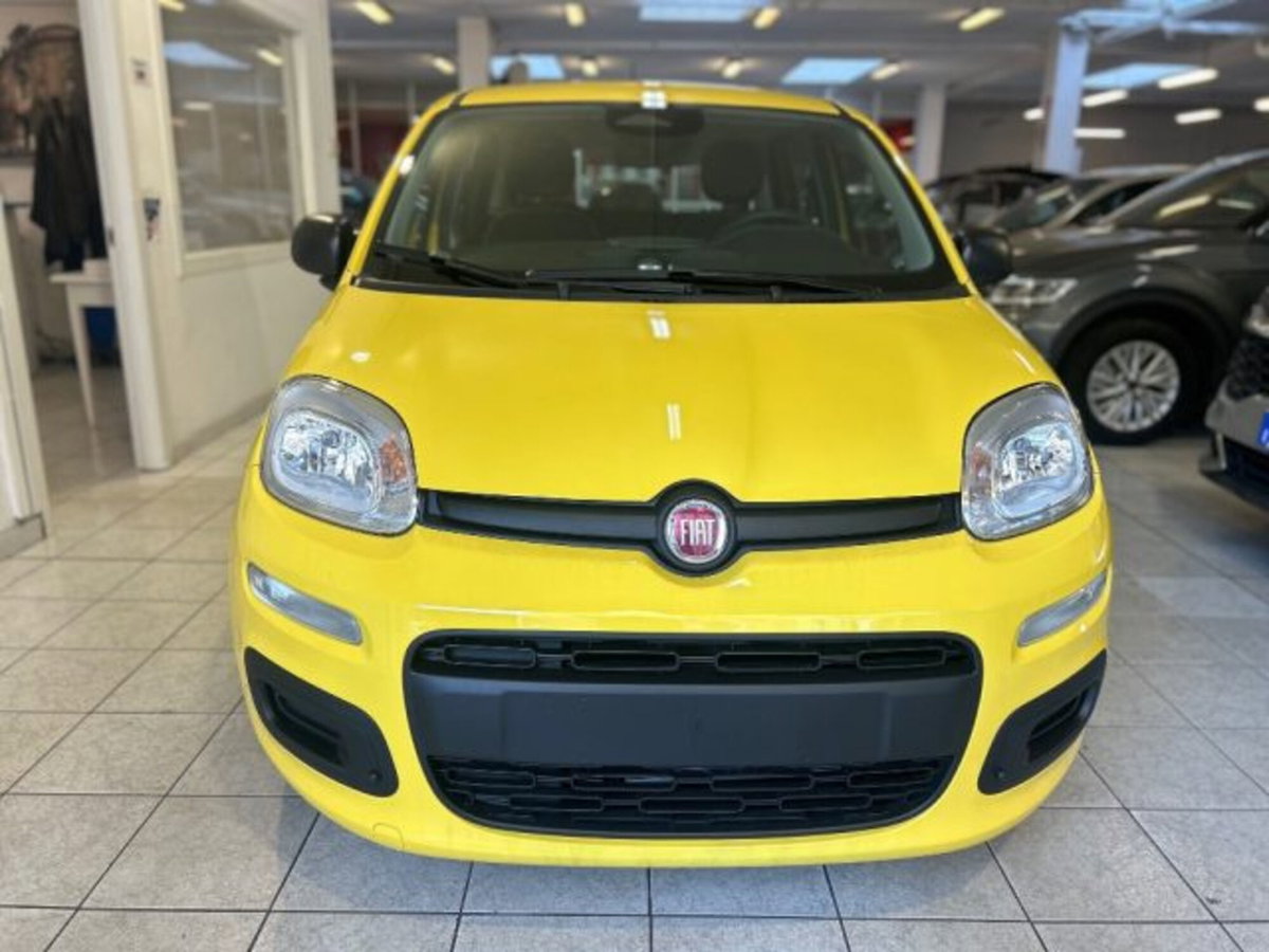 Fiat Panda 1.0 firefly hybrid Icon s&s 70cv (2)