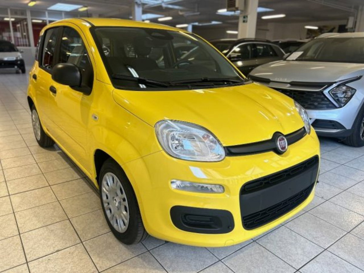Fiat Panda 1.0 firefly hybrid Icon s&s 70cv (3)