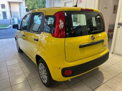 Fiat Panda 1.0 firefly hybrid Icon s&s 70cv (4)