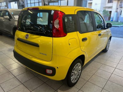 Fiat Panda 1.0 firefly hybrid Icon s&s 70cv (6)