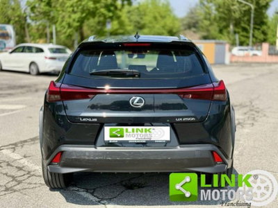 Lexus UX Hybrid 4WD F Sport (18)