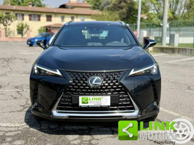 Lexus UX Hybrid 4WD F Sport (7)