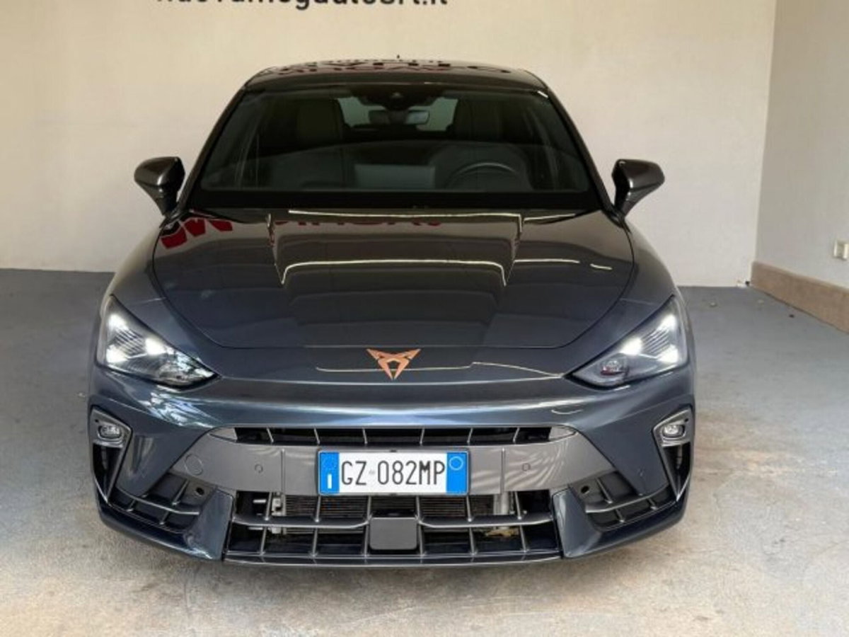 Cupra Leon Leon 2.0 tdi 150cv dsg (3)