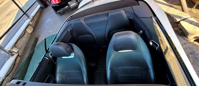 Mercedes-Benz SL 55 Kompressor cat AMG (8)