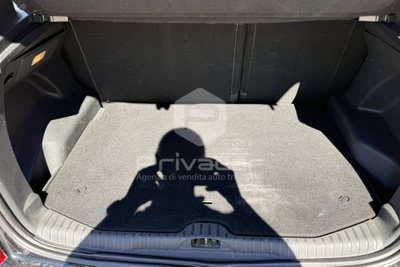 Citroen C3 Picasso 1.4 VTi 95 GPL airdream Seduction (15)