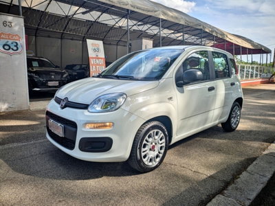 Fiat Panda 1.2 usata