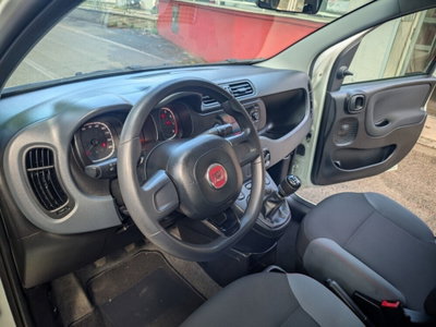 Fiat Panda 1.2 (13)