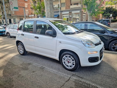 Fiat Panda 1.2 (3)
