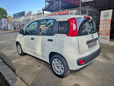 Fiat Panda 1.2 (6)
