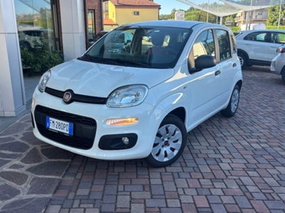 Fiat Panda 1.2 Pop usata