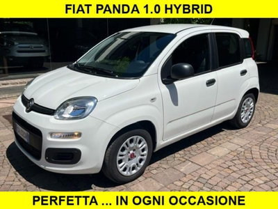 Fiat Panda 1.0 firefly hybrid s&s 70cv 5p.ti usata