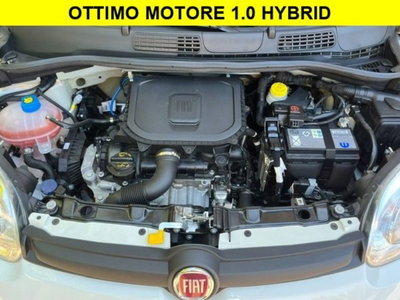 Fiat Panda 1.0 firefly hybrid s&s 70cv 5p.ti (12)