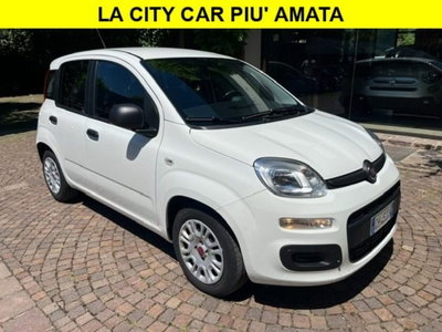 Fiat Panda 1.0 firefly hybrid s&s 70cv 5p.ti (3)