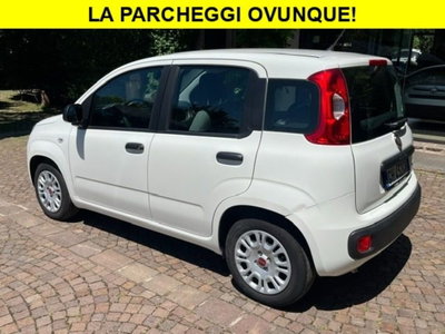 Fiat Panda 1.0 firefly hybrid s&s 70cv 5p.ti (4)