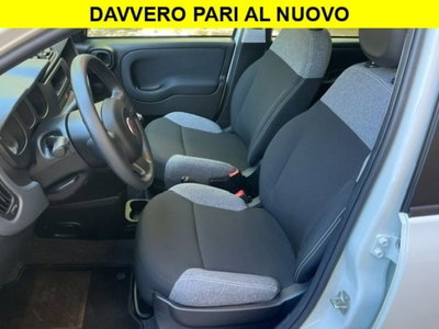 Fiat Panda 1.0 firefly hybrid s&s 70cv 5p.ti (6)