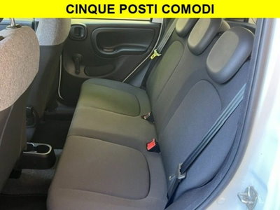 Fiat Panda 1.0 firefly hybrid s&s 70cv 5p.ti (8)