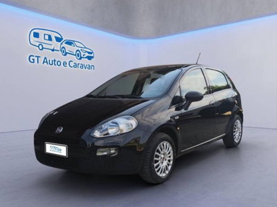 Fiat Punto 1.2 8V 5 porte Street usata