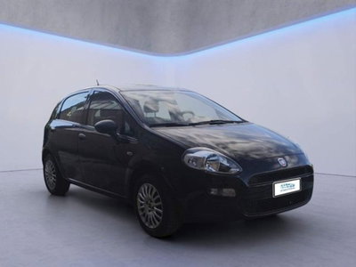 Fiat Punto 1.2 8V 5 porte Street (2)