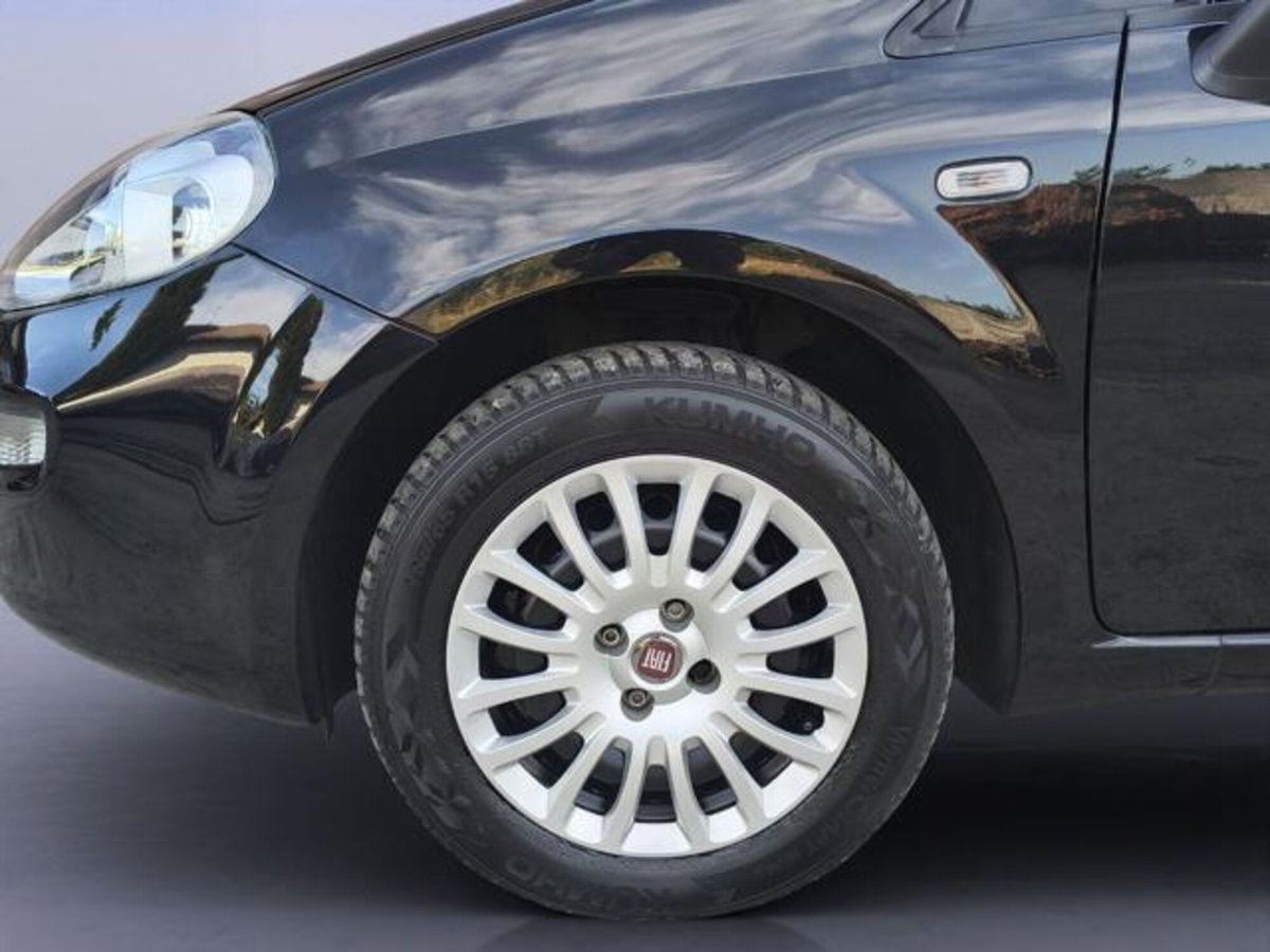 Fiat Punto 1.2 8V 5 porte Street (20)