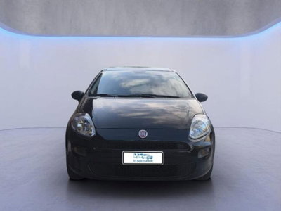 Fiat Punto 1.2 8V 5 porte Street (3)