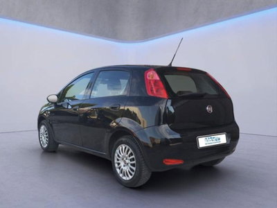 Fiat Punto 1.2 8V 5 porte Street (4)