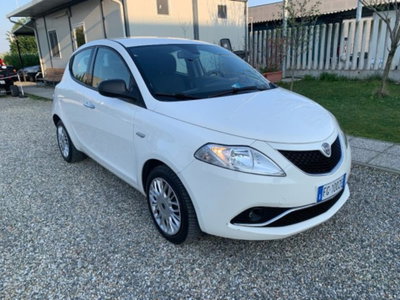Lancia Ypsilon 1.2 69 CV 5 porte Platinum (3)