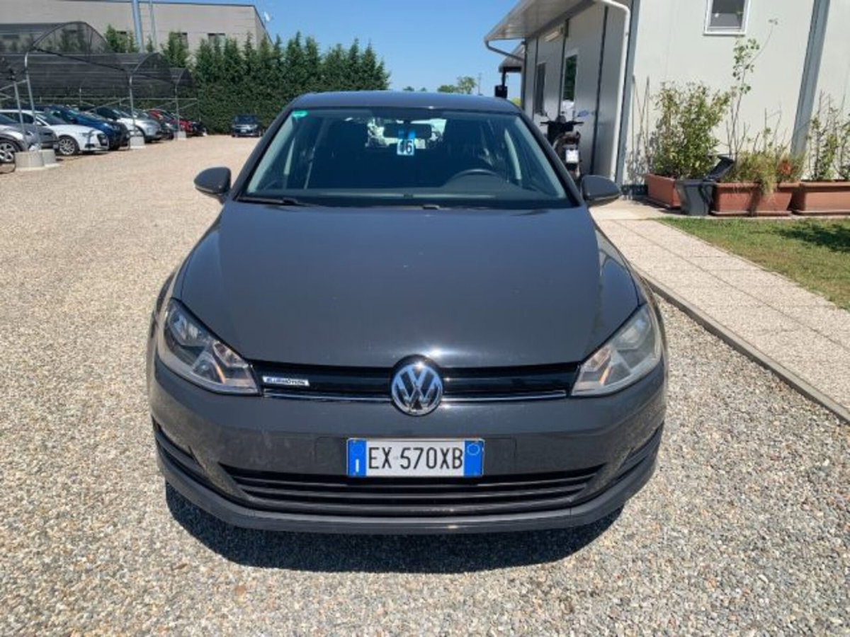 Volkswagen Golf 1.4 TGI 5p. Trendline BlueMotion (8)