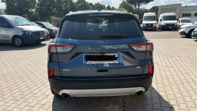Ford Kuga 2.0 EcoBlue Hybrid 150 CV 2WD Titanium (4)