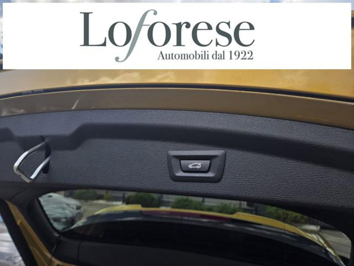 BMW X2 xDrive25d Msport (11)