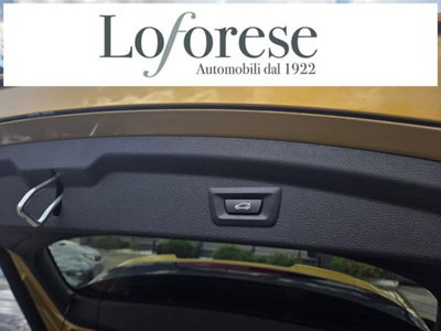 BMW X2 xDrive25d Msport (11)